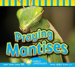 Praying Mantises - Carr, Aaron