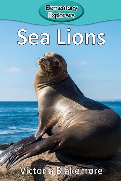 Sea Lions Sea Lions