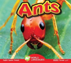 Ants - Carr, Aaron