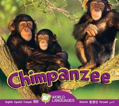 Chimpanzee - Carr, Aaron