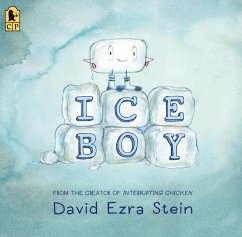 Ice Boy - Stein, David Ezra