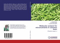 Molecular analysis for micronutrients in common bean - Mahajan, Reetika;Zargar, Sajad Majeed;Salgotra, Romesh Kumar