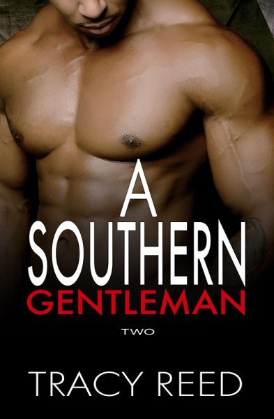 A Southern Gentleman Vol 2 (eBook, ePUB) A Southern Gentleman Vol 2 (eBook, ePUB)