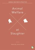 Animal Welfare at Slaughter