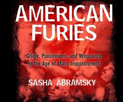 American Furies: Crime, Punishment, and Vengeance in the Age of Mass Imprisonment - Abramsky, Sasha