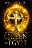 Queen of Egypt (The Amarna Age, #1) (eBook, ePUB)