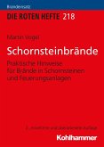Schornsteinbrände (eBook, PDF)