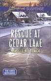 Rescue at Cedar Lake (eBook, ePUB)