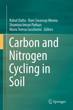 Carbon and Nitrogen Cycling in Soil