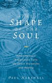 The Shape of the Soul (eBook, ePUB)