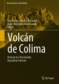 Volcán de Colima (eBook, PDF)