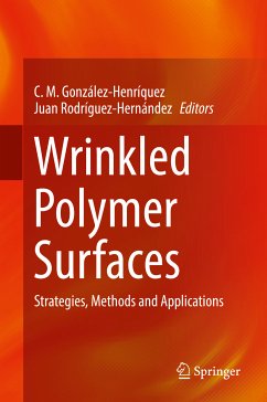 Wrinkled Polymer Surfaces (eBook, PDF)