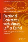 Fractional Derivatives with Mittag-Leffler Kernel (eBook, PDF)