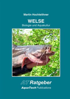 Welse (Siluridae) - Hochleithner, Martin