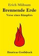 Brennende Erde (Großdruck) - Bild 1