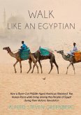 WALK LIKE AN EGYPTIAN: How a Burnt-Out Middle-Aged American Rejoined the Human Race while living among the People of Egypt during their Historic Revolution (eBook, ePUB)