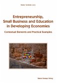 Entrepreneurship, Small Business and Education in Developing Economies (eBook, PDF)