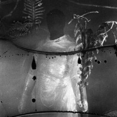 Preservation Rituals (2015-2018) - Vile Creature Preservation Rituals (2015-2018) - Vile Creature