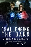Challenging the Dark (Mending Magic Series, #3) (eBook, ePUB)