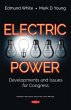 Electric Power: Developments and Issues... - Bild 1
