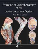 Essentials of Clinical Anatomy of the Equine Locomotor System (eBook, PDF)