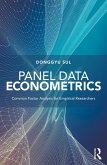 Panel Data Econometrics (eBook, ePUB)