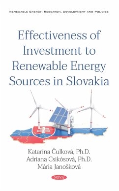 Effectiveness of Investment to Renewable Energy Sources in Slovakia (eBook, PDF)