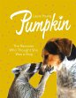 Pumpkin: The Raccoon Who Thought She... - Bild 1