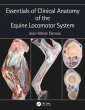 Essentials of Clinical Anatomy of the... - Bild 1