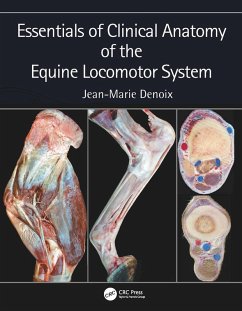 Essentials of Clinical Anatomy of the Equine Locomotor System (eBook, ePUB) - Denoix, Jean-Marie