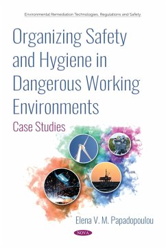 Organizing Safety and Hygiene in Dangerous Working Environments: Case Studies (eBook, PDF)