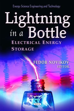 Lightning in a Bottle: Electrical Energy Storage (eBook, PDF)