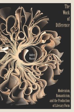 Work of Difference (eBook, PDF) - Wasser, Audrey