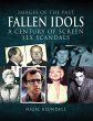 Fallen Idols (eBook, ePUB) - Bild 1
