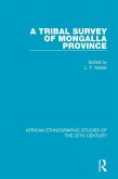 A Tribal Survey of Mongalla Province (eBook, PDF)
