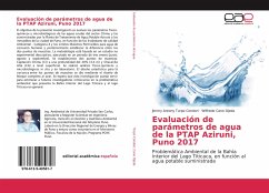 Evaluación de parámetros de agua de la PTAP Aziruni, Puno 2017 - Turpo Condori, Jimmy Antony;Cano Ojeda, Wilfredo
