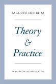 Theory and Practice (eBook, ePUB)