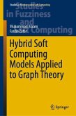 Hybrid Soft Computing Models Applied to Graph Theory
