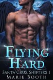 Flying Hard (Santa Cruz Shifters, #1) (eBook, ePUB)
