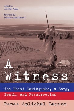 A Witness (eBook, ePUB)