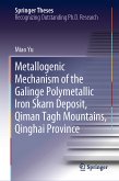 Metallogenic Mechanism of the Galinge Polymetallic Iron Skarn Deposit, Qiman Tagh Mountains, Qinghai Province (eBook, PDF)