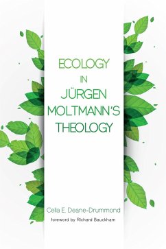 Ecology in Jurgen Moltmann's Theology (eBook, ePUB)