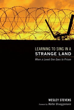 Learning to Sing in a Strange Land (eBook, ePUB)