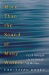 More Than the Sound of Many Waters... - Bild 1