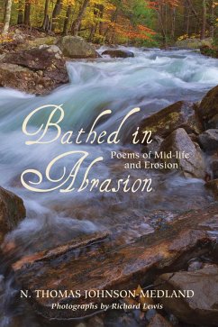 Bathed in Abrasion (eBook, ePUB)