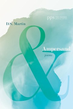 Ampersand (eBook, ePUB)