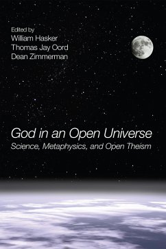 God in an Open Universe (eBook, ePUB)