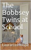 The Bobbsey Twins at School (eBook, PDF)