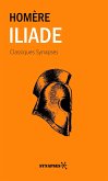 Iliade (eBook, ePUB)