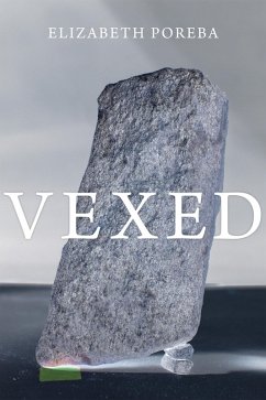Vexed (eBook, ePUB)